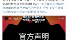 爱游戏体育-智利队惜败落选，失去晋级机会