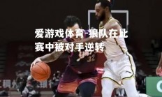 爱游戏体育-狼队在比赛中被对手逆转