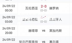 爱游戏体育-奥萨苏纳主场失利，结束不败战绩